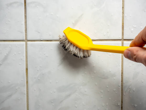 Best Professional Mold Removal  in Big Lake, TX