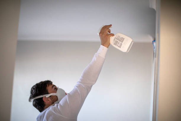 Best Crawl Space Mold Removal  in Big Lake, TX