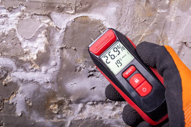 Best Emergency Mold Removal  in Big Lake, TX