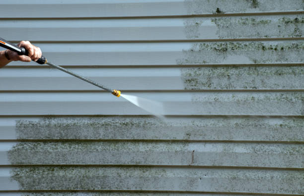 Best Office Mold Removal Services  in Big Lake, TX