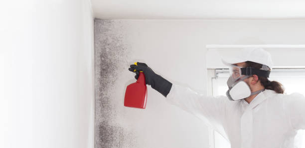 Best Mold Testing  in Big Lake, TX