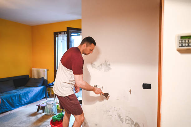 Reliable Big Lake, TX Mold Removal Solutions