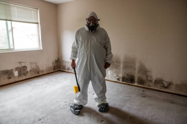 Best Mold Removal Company Near Me  in Big Lake, TX
