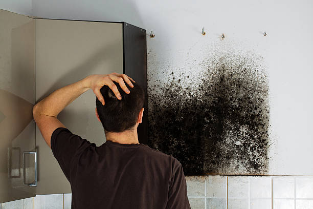 Mold Removal Process in Big Lake, TX