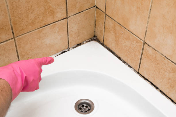 Best Crawl Space Mold Removal  in Big Lake, TX